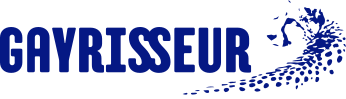 Gayrisseur